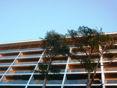 19-10-2007